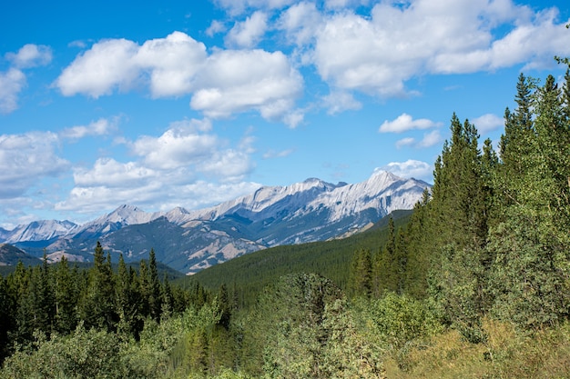 Bellissimo scatto delle Montagne Rocciose e delle foreste verdi durante il giorno