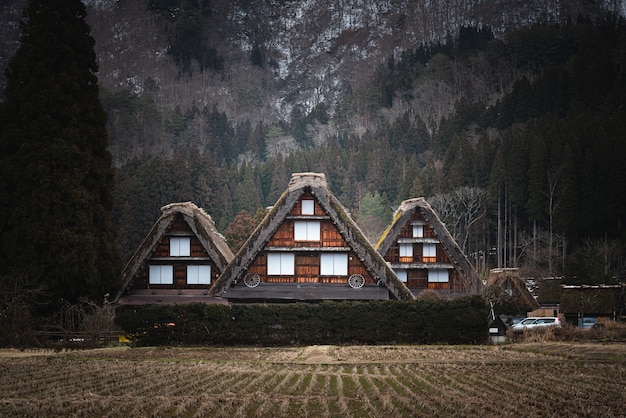 Bellissimo scatto di edifici a Shirakawa in Giappone