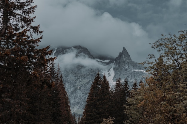 Bellissimo scatto di montagne rocciose nebbiose