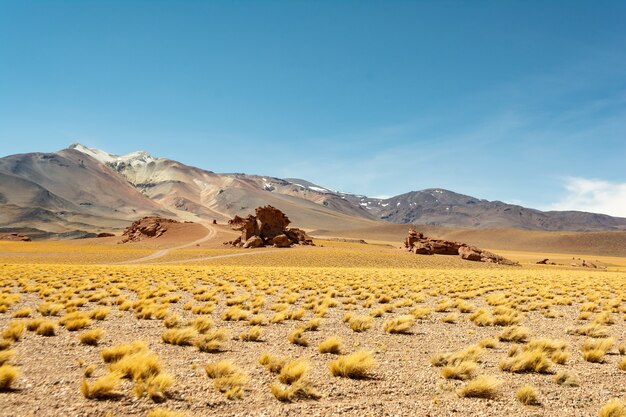 Bellissimo scatto di paesaggi desertici al tramonto in Cile