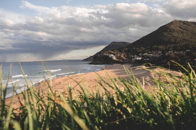 Bellissimo scatto di piante sfocate con una spiaggia sullo sfondo