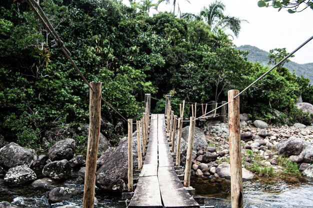 Bellissimo scatto di Ponta Negra su un fiume nella foresta a Paraty, in Brasile