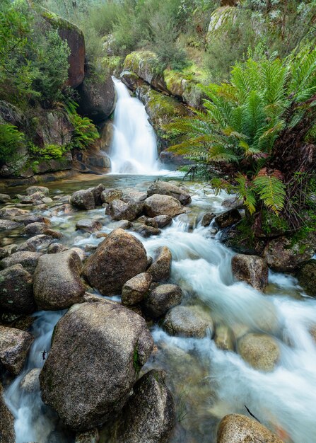 Bellissimo scatto di una cascata che scorre vicino a molte rocce