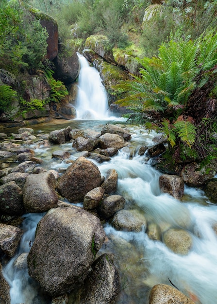 Bellissimo scatto di una cascata che scorre vicino a molte rocce