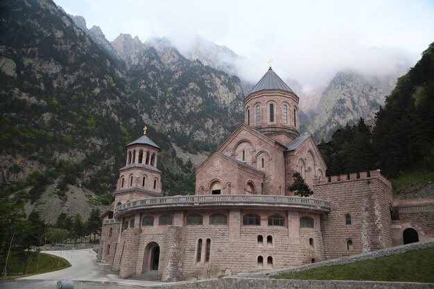 Bellissimo scatto di una chiesa cristiana con alberi e montagne in Georgia