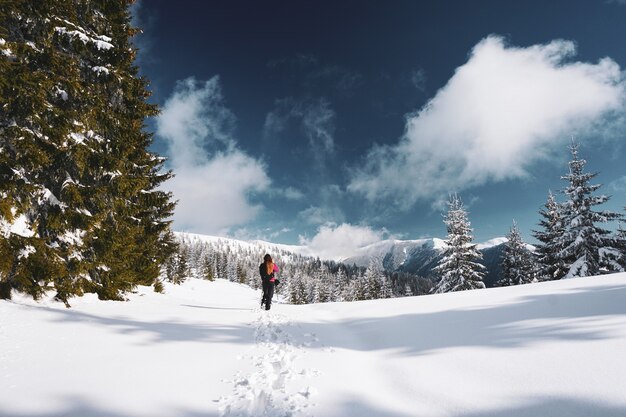 Bellissimo scatto di una donna che cammina nelle montagne innevate dei Carpazi, circondato da alberi in Romania