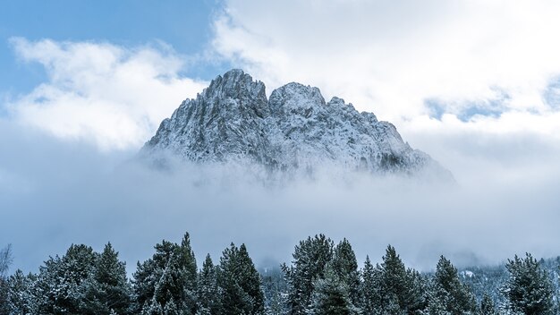 Bellissimo scatto di una giornata nebbiosa in una foresta invernale vicino a una montagna