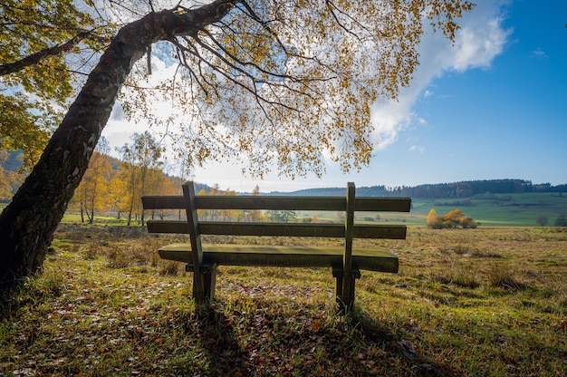 Bellissimo scatto di una panchina solitaria in una valle in una soleggiata giornata autunnale