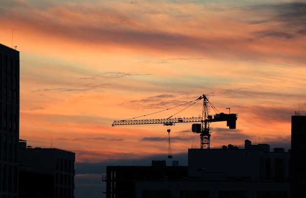 Bellissimo scatto di una sagoma di una gru durante il tramonto