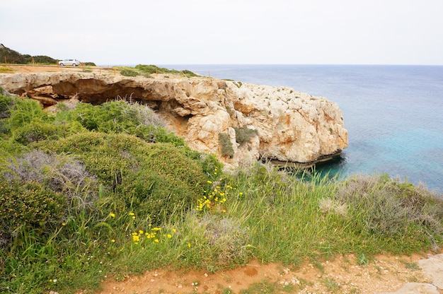 Bellissimo scatto di una scogliera ricoperta di erba vicino alla riva dell'oceano calmo