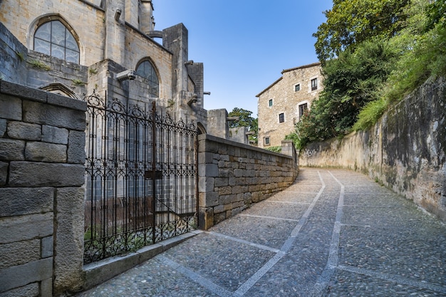 Bellissimo scatto di una strada tra le case e gli alberi