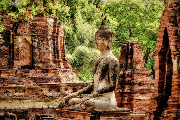 Bellissimo scatto di una vecchia statua di Buddha