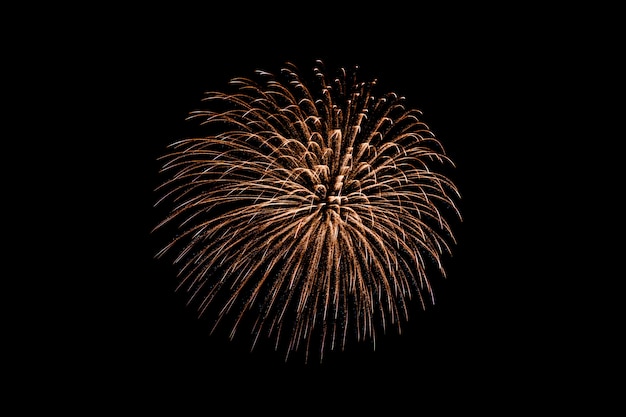 Bellissimo spettacolo pirotecnico colorato di notte per festeggiare