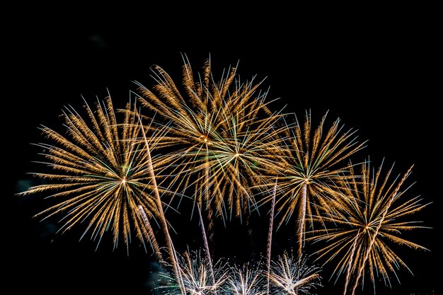 Bellissimo spettacolo pirotecnico colorato di notte per festeggiare