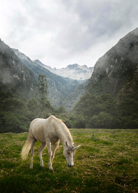 Bellissimo unicorno nella composizione della natura