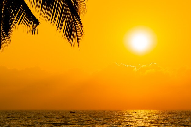 Bello albero del cocco della siluetta sulla spiaggia vicina dell&#39;oceano del mare del cielo al tramonto o al tempo di alba
