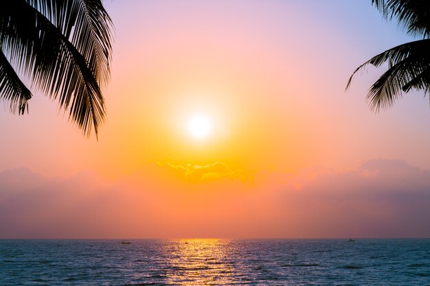 Bello albero del cocco della siluetta sulla spiaggia vicina dell&#39;oceano del mare del cielo al tramonto o al tempo di alba