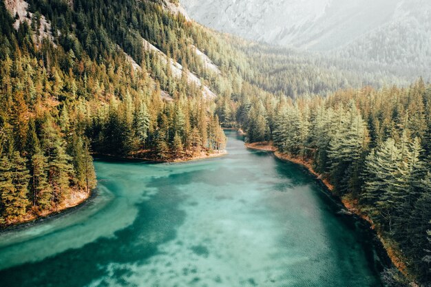 Bello colpo aereo di un fiume blu che funziona in una foresta