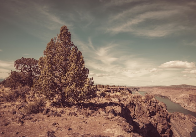 Bello colpo degli alberi sulla scogliera con un fiume nella distanza sotto un cielo nuvoloso blu