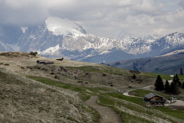 Bello colpo del prato alpino di Alpe di Siusi in Italia durante la molla in anticipo