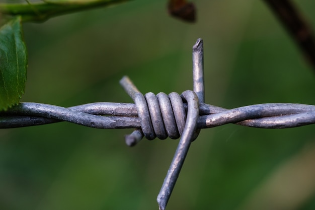 Bello colpo del primo piano di un filo spinato grigio