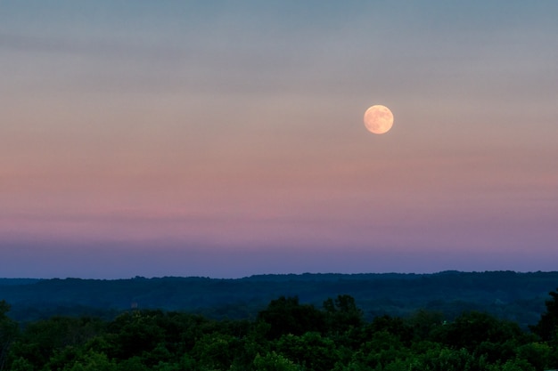 Bello colpo della grande luna grigia nel cielo serale sopra una fitta foresta verde