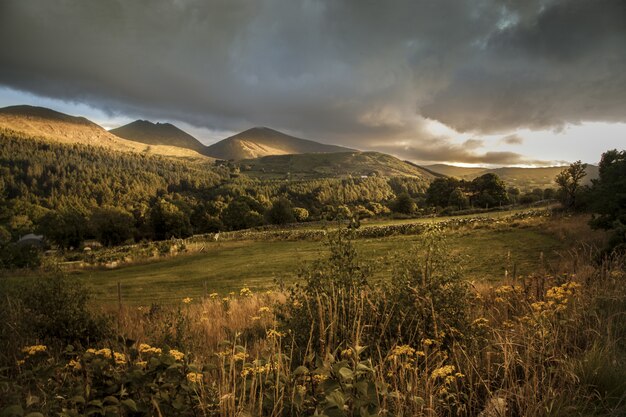 Bello colpo delle colline durante il tramonto nelle montagne di Morne in Irlanda del Nord