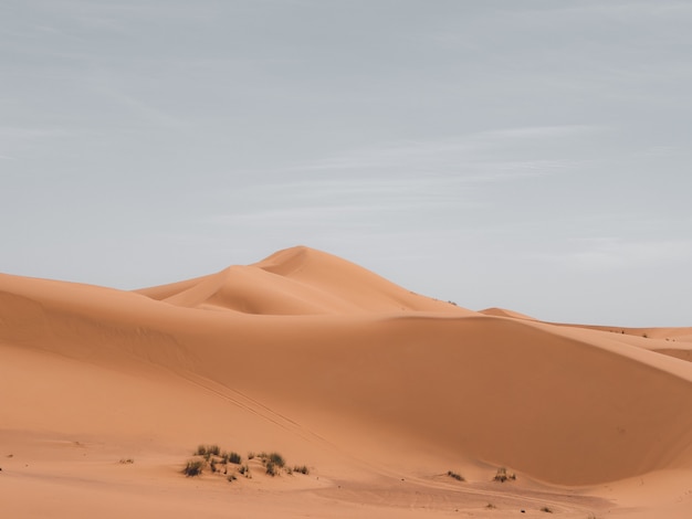 Bello colpo delle dune di sabbia con un cielo nuvoloso nei precedenti