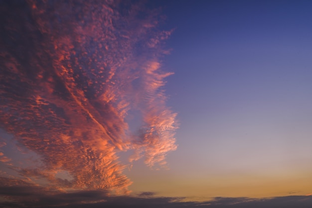 Bello colpo delle nuvole rosa e porpora nel cielo su chiaro fondo blu