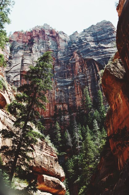 Bello colpo di angolo basso di una scogliera nel parco nazionale di Zion durante il giorno