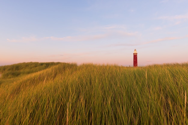 Bello colpo di un campo erboso con un faro rosso nella distanza e nel cielo blu