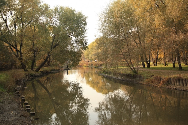 Bello colpo di un fiume nel parco a Mosca con il riflesso degli alberi e del cielo