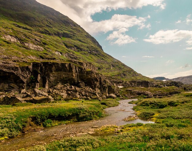 Bello colpo di un fiume scorrente vicino alle alte montagne rocciose in Norvegia