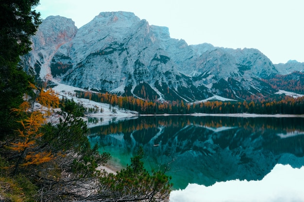 Bello colpo di un lago circondato dagli alberi vicino alla montagna nevosa