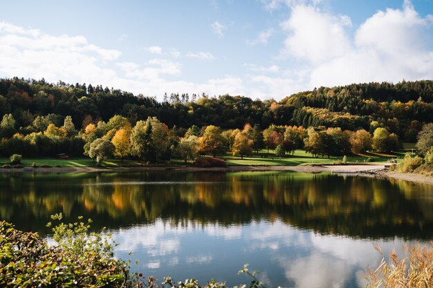 Bello colpo di un lago con il riflesso del cielo in un parco in autunno