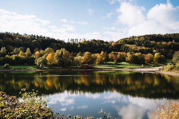 Bello colpo di un lago con il riflesso del cielo in un parco in autunno