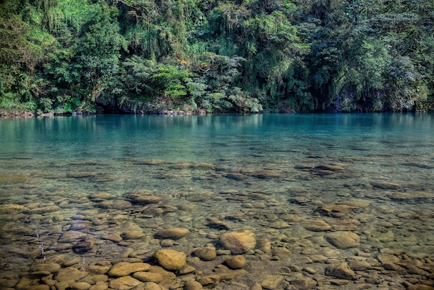 Bello colpo di un lago vicino alle piantagioni verdi nel villaggio di Pinglin, Taiwan