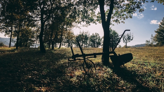 Bello colpo di una silhouette di una costruzione su ruote parcheggiata accanto a un albero in un campo rurale