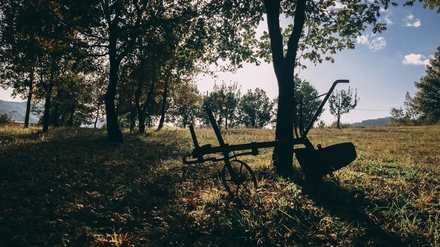 Bello colpo di una silhouette di una costruzione su ruote parcheggiata accanto a un albero in un campo rurale