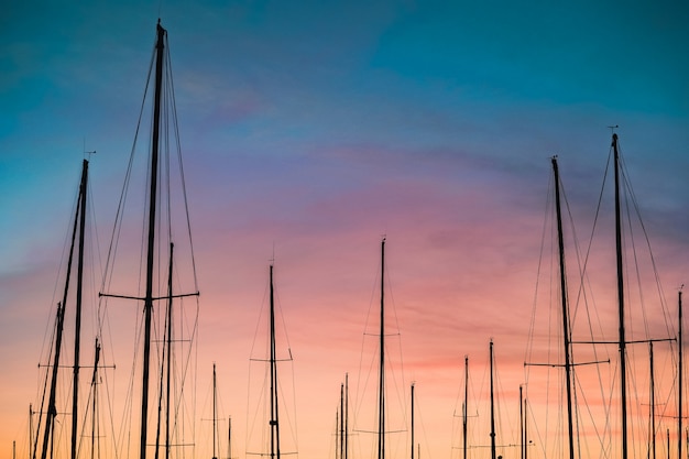 Bello colpo di una siluetta degli alberi della barca a vela al tramonto