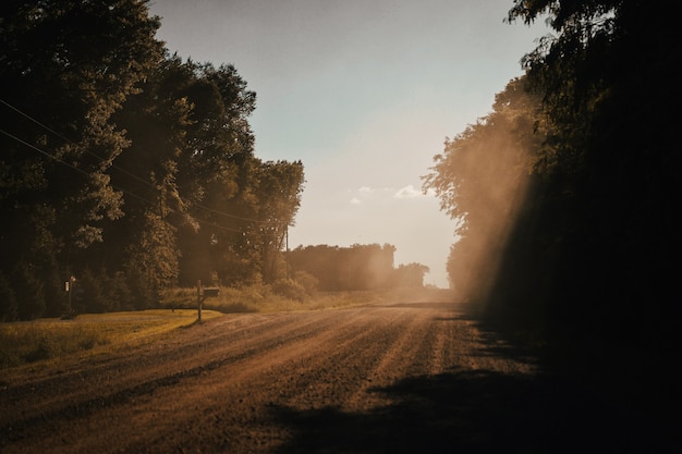 Bello colpo di una strada sterrata di campagna in una giornata di sole con alberi su entrambi i lati