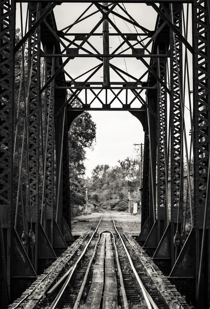 Bello colpo in bianco e nero di una ferrovia su un ponte del metallo