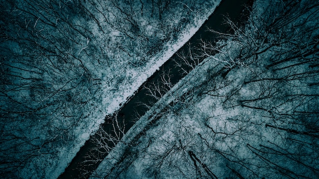 Bello colpo sopraelevato aereo di una strada stretta fra gli alberi durante l'inverno