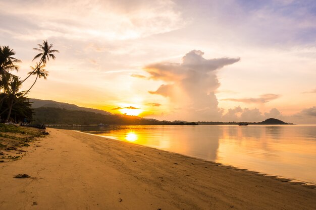 Bello oceano e spiaggia di vista all'aperto con l'albero tropicale del cocco a tempo di alba