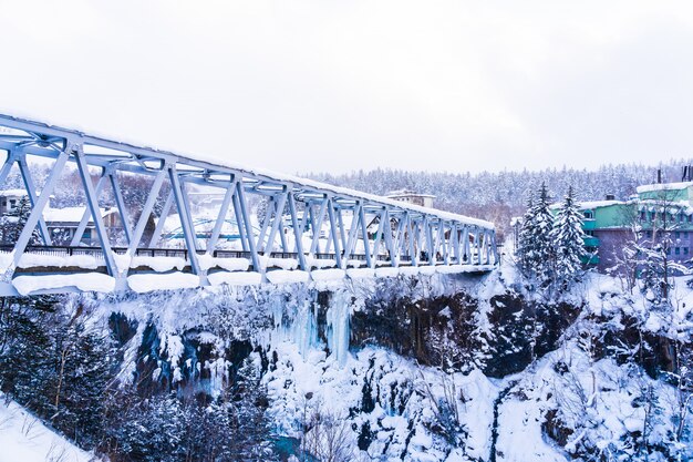 Bello paesaggio all&#39;aperto della natura con la cascata di shirahige e ponte nella stagione invernale della neve