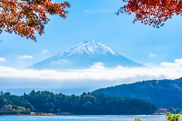Bello paesaggio della montagna Fuji con l'albero della foglia di acero intorno al lago
