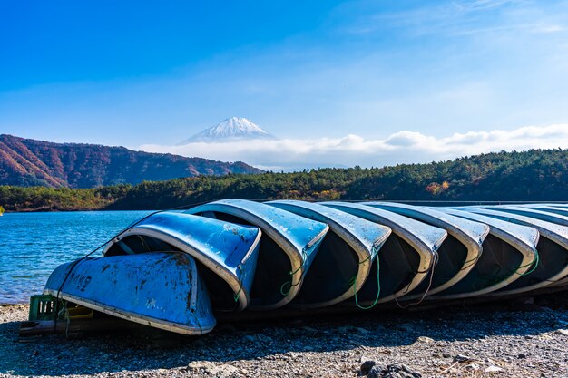 Bello paesaggio della montagna Fuji con l'albero della foglia di acero intorno al lago