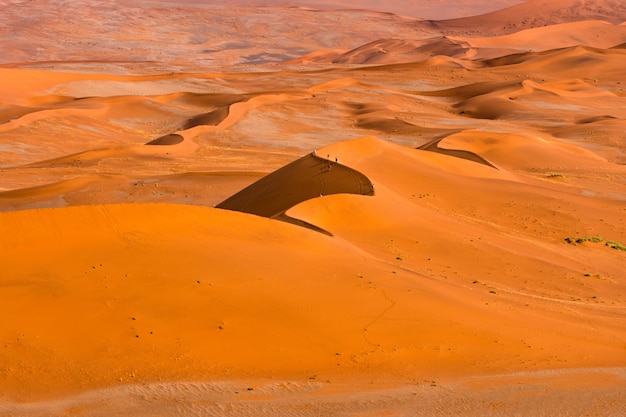 Bello paesaggio della sabbia arancio della duna di sabbia arancio al deserto di Namib nel parco nazionale Sossusvlei di Namib-Naukluft in Namibia.