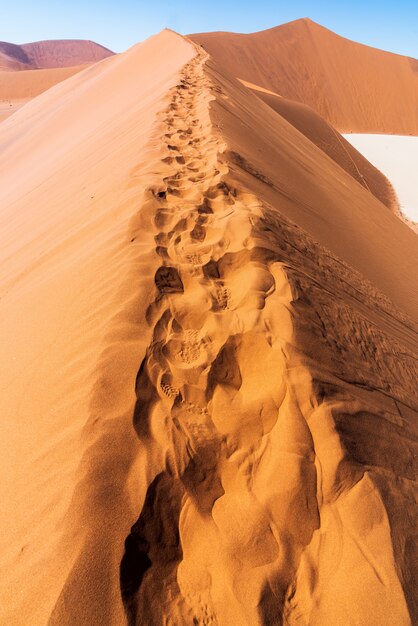 Bello paesaggio della sabbia arancio della duna di sabbia arancio al deserto di Namib nel parco nazionale Sossusvlei di Namib-Naukluft in Namibia.