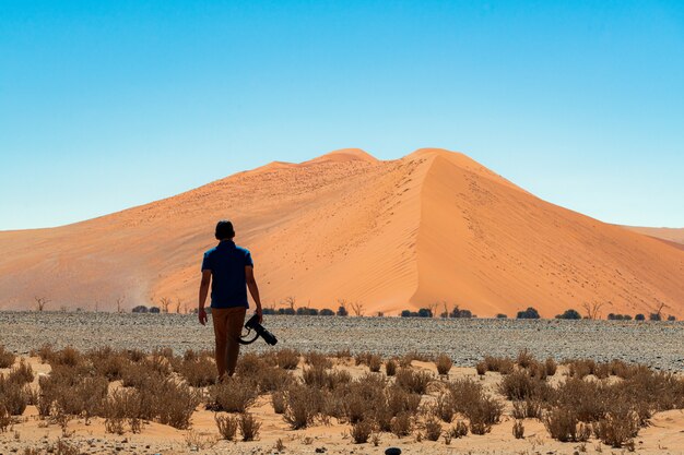 Bello paesaggio della sabbia arancio della duna di sabbia arancio al deserto di Namib nel parco nazionale Sossusvlei di Namib-Naukluft in Namibia.